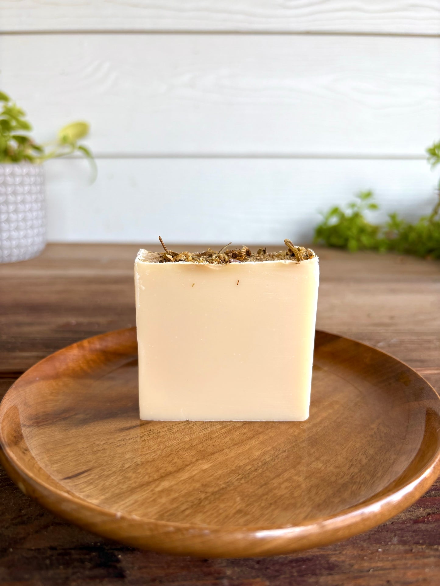 Sweet Chamomile